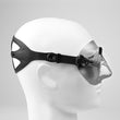 Laden Sie das Bild in den Galerie-Viewer, C4 Carbon - Condor Antifog
