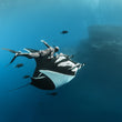 Laden Sie das Bild in den Galerie-Viewer, Socorro Island - 27.11.-05.12.2025
