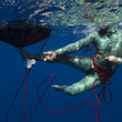 Laden Sie das Bild in den Galerie-Viewer, Octopus - XL pulling system