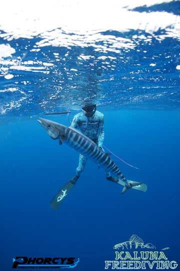 Cape Verde - Spearfishing Trips