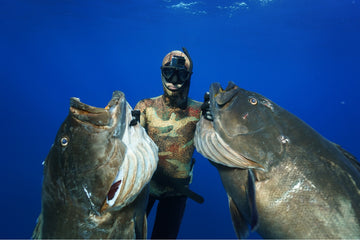 Mexico - Spearfishing Trips